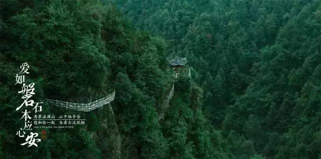 僵尸敲方块