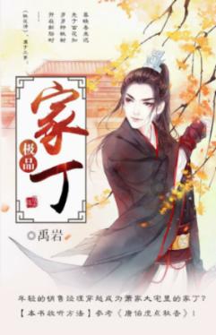 了不起的麦瑟尔夫人