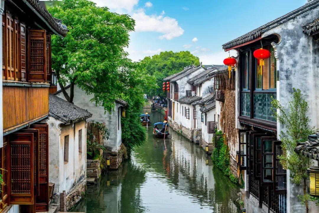 逃离大犀牛出没地